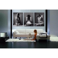 3 Pieces HD Canvas Print home decor wall art painting,Sexy naked girl/Unframed   172713254482